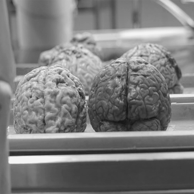 Profil: Walter Jackson Freeman