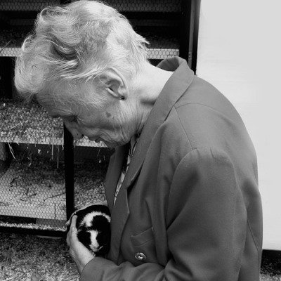 Uloga ustanova i institucija u skrbi za starije osobe