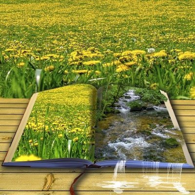 Najčitanija pjesnikinja u Japanu 