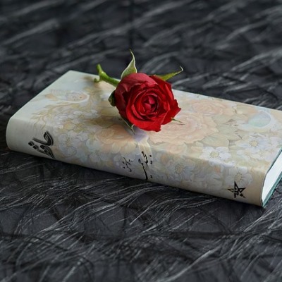 Promocija zbirke pjesama 