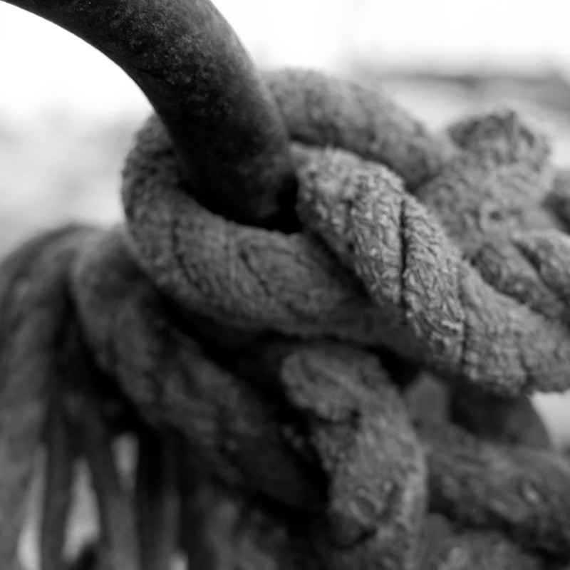 Spolno i rodno starenje II