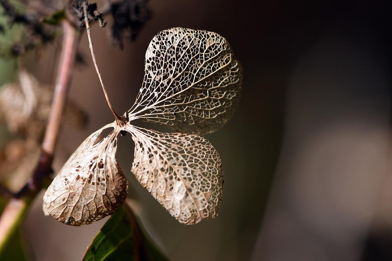 Može li se demencija prevenirati?
