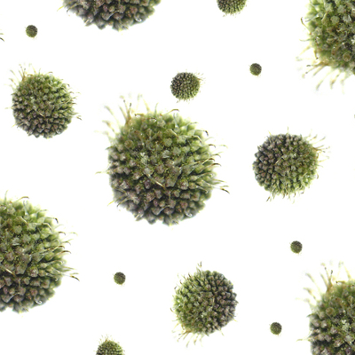 Cjepivo protiv gripe čuva zdravlje i živote